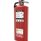 dry-chemical-fire-extinguisher__50855.1746718443.386.513-1.jpg