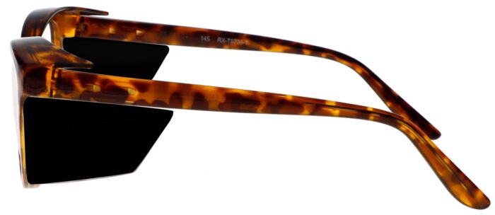 rg-t9730-t-3